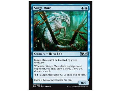 Surge Mare