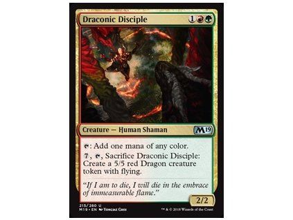 Draconic Disciple