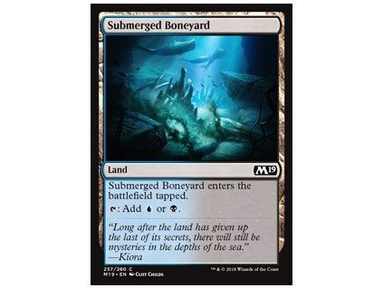 Submerged Boneyard