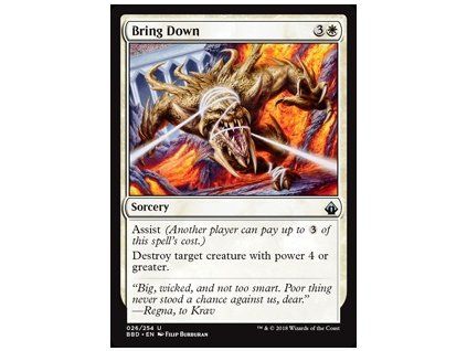 Bring Down