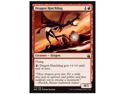 Dragon Hatchling