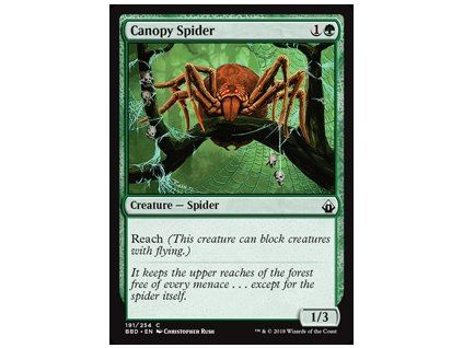 Canopy Spider