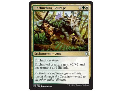Unflinching Courage