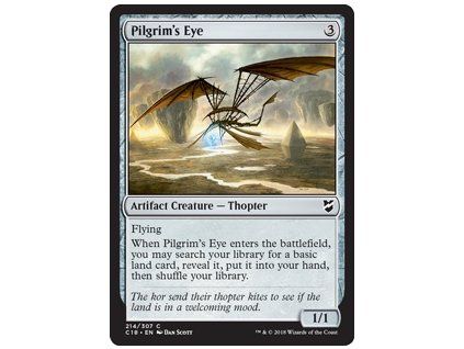 Pilgrim's Eye