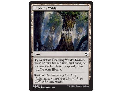 Evolving Wilds