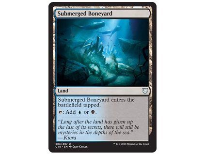 Submerged Boneyard