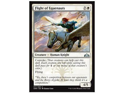 Flight of Equenauts