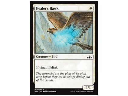 Healer's Hawk