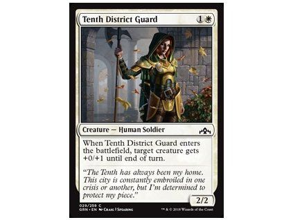 Tenth District Guard