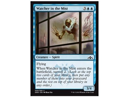 Watcher in the Mist (Foil NE, Stav Near Mint)