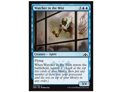 Watcher in the Mist