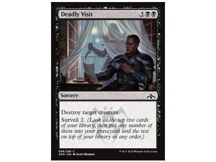 Deadly Visit