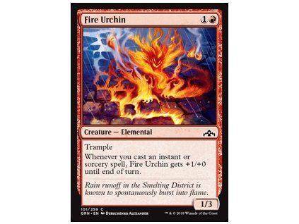 Fire Urchin