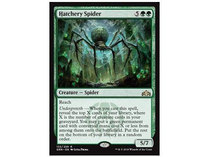Hatchery Spider
