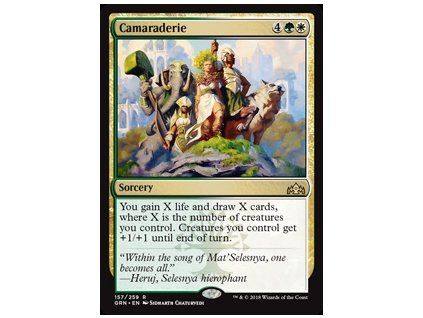 Camaraderie