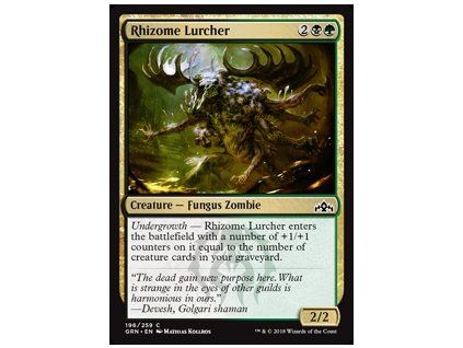 Rhizome Lurcher