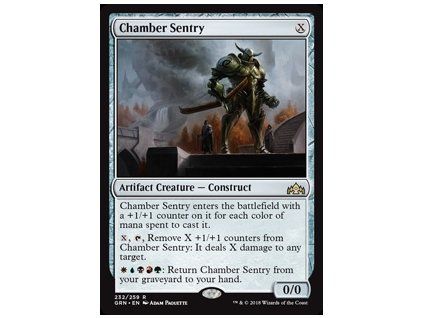 Chamber Sentry