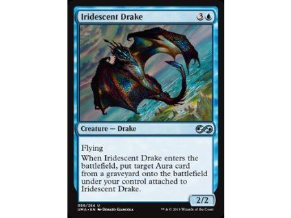 Iridescent Drake