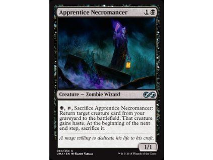Apprentice Necromancer