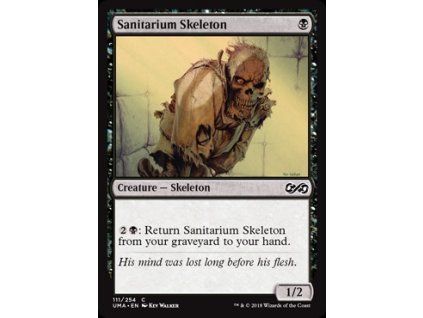 Sanitarium Skeleton