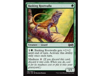 Basking Rootwalla