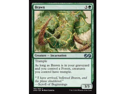 Brawn