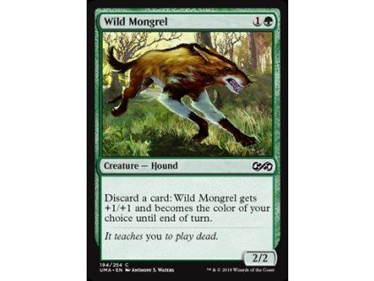 Wild Mongrel