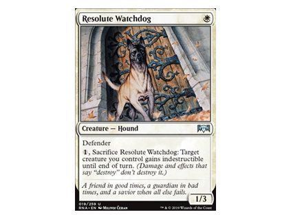 Resolute Watchdog
