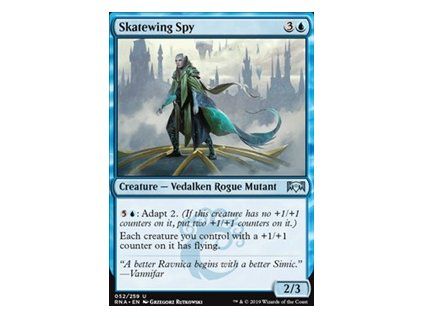 Skatewing Spy