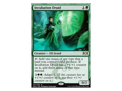 Incubation Druid