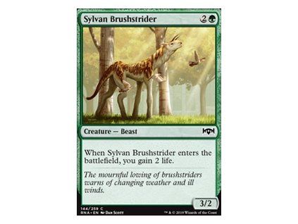 Sylvan Brushstrider