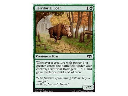Territorial Boar