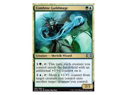 Combine Guildmage