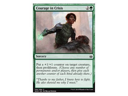 Courage in Crisis