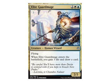 Elite Guardmage