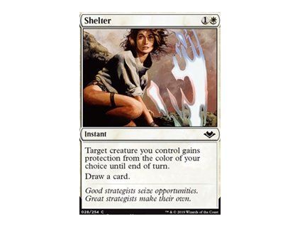 Shelter