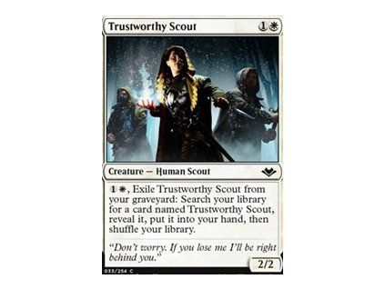 Trustworthy Scout