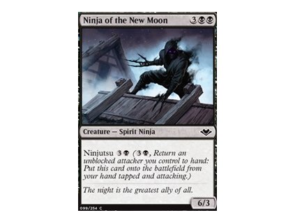 Ninja of the New Moon
