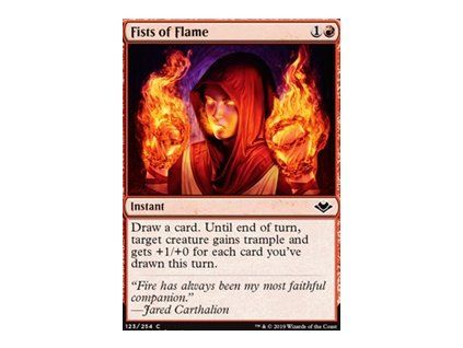 Fists of Flame