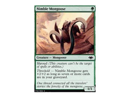 Nimble Mongoose