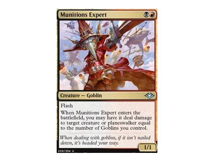 Munitions Expert