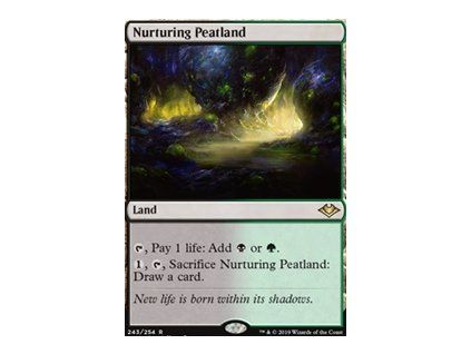 Nurturing Peatland