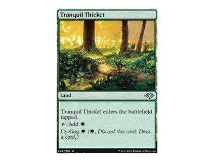 Tranquil Thicket