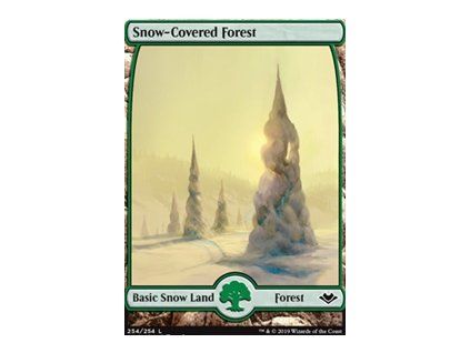 Snow-Covered Forest