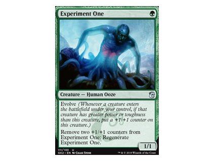 Experiment One