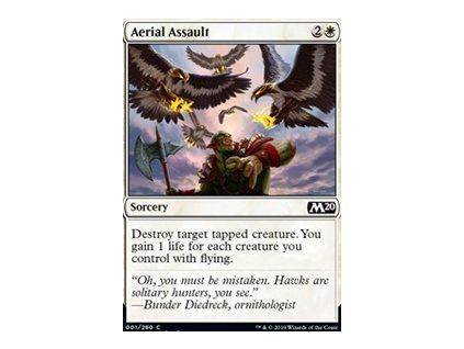 Aerial Assault