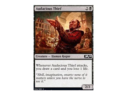 Audacious Thief