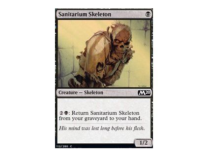Sanitarium Skeleton
