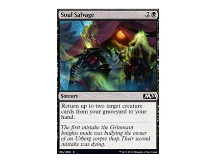 Soul Salvage