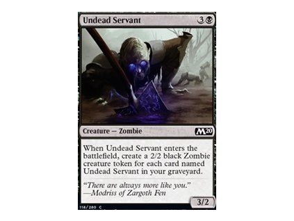 Undead Servant